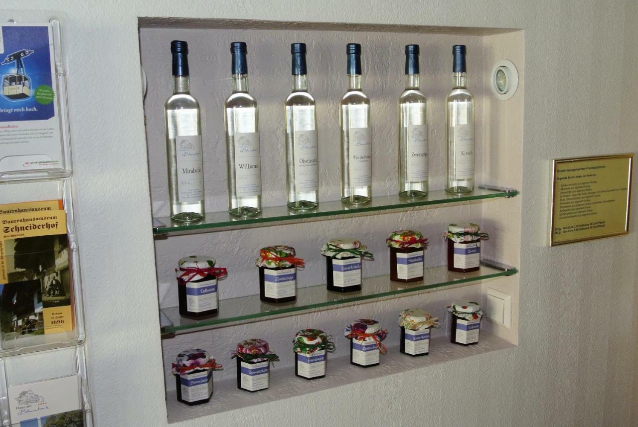 Haus Am Blauenbach Apartment Schliengen Luaran gambar